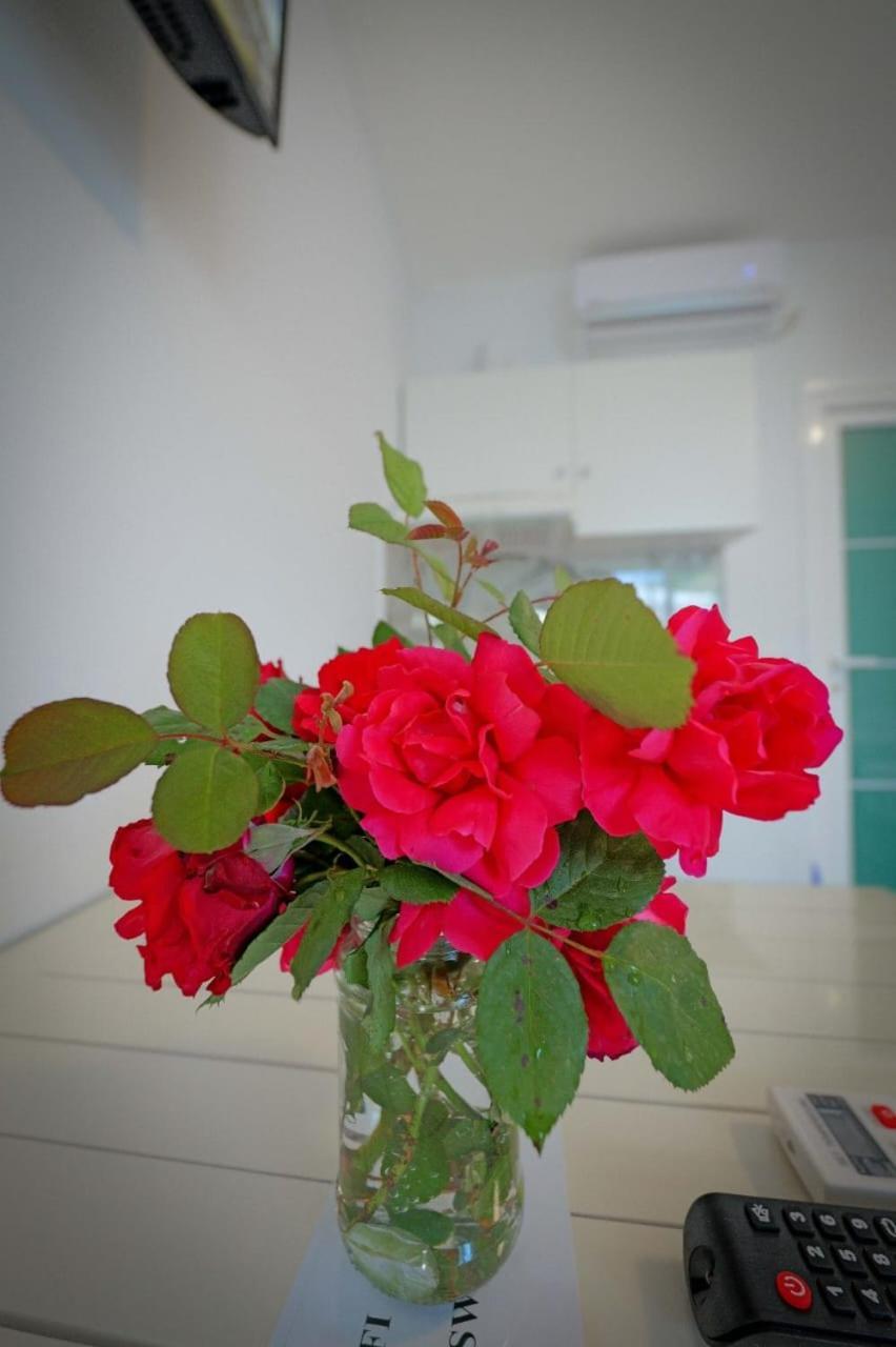 Lukovë Eduard Lagji Apartament חדר תמונה