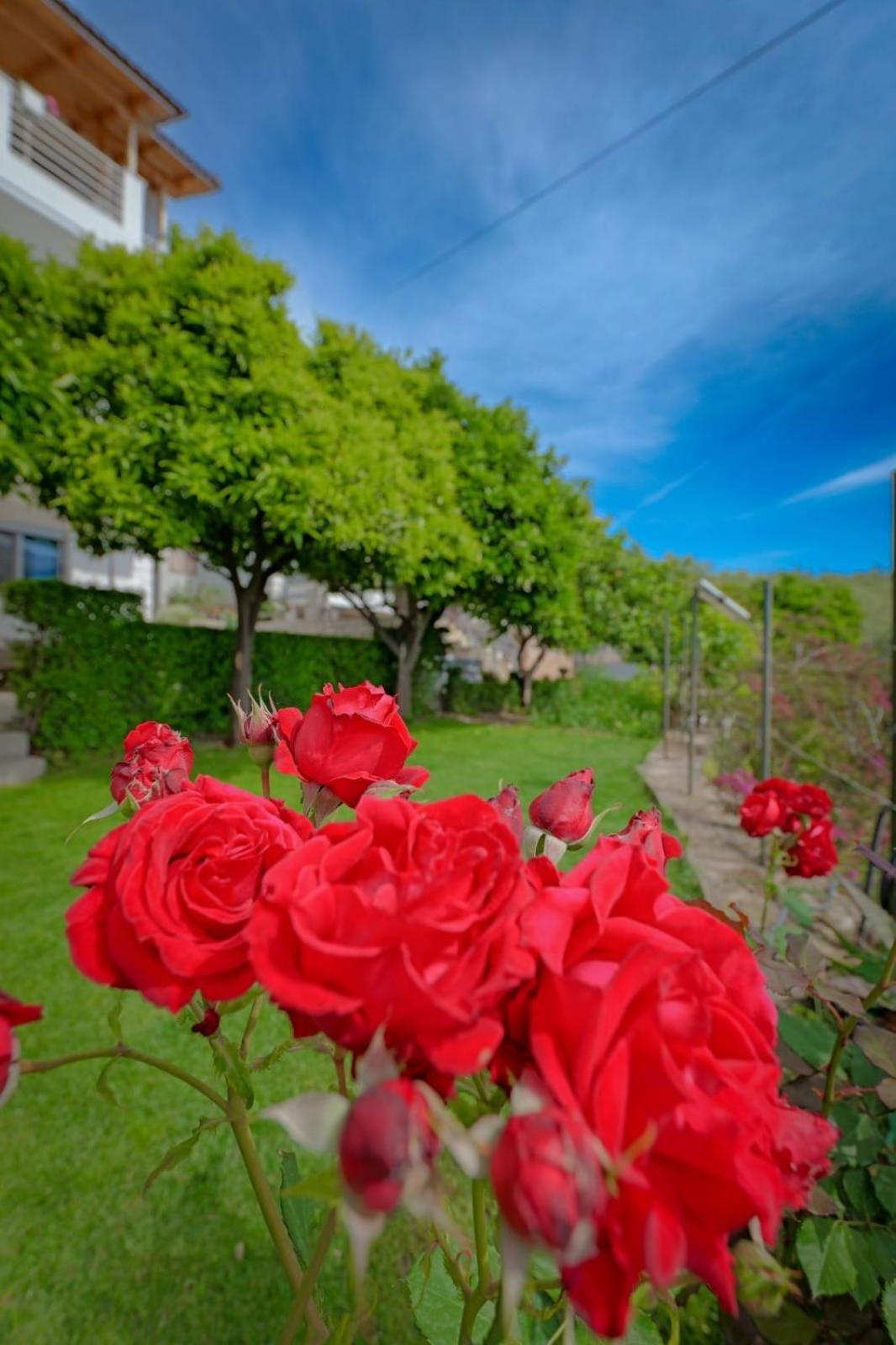 Lukovë Eduard Lagji Apartament חדר תמונה
