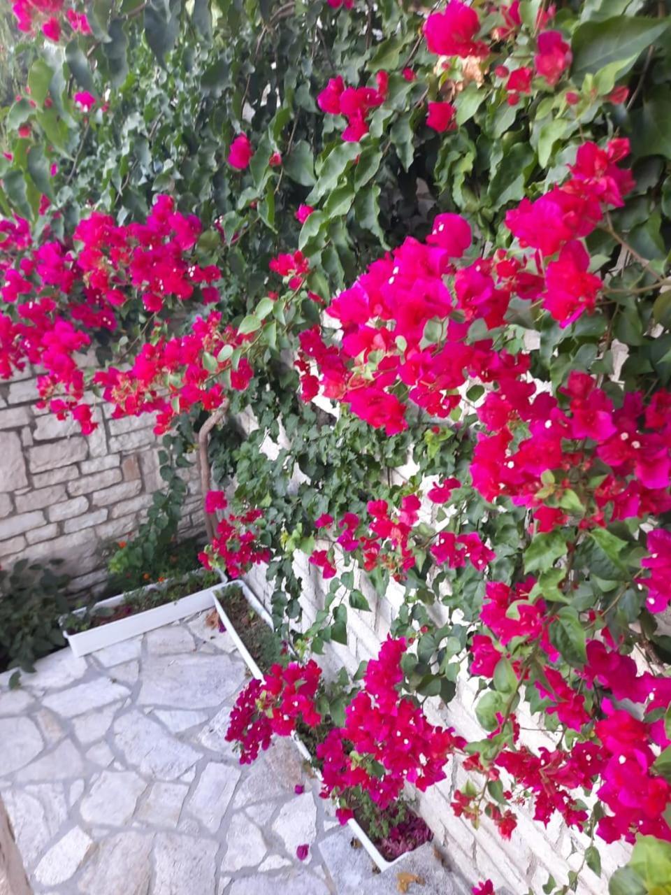 Lukovë Eduard Lagji Apartament חדר תמונה