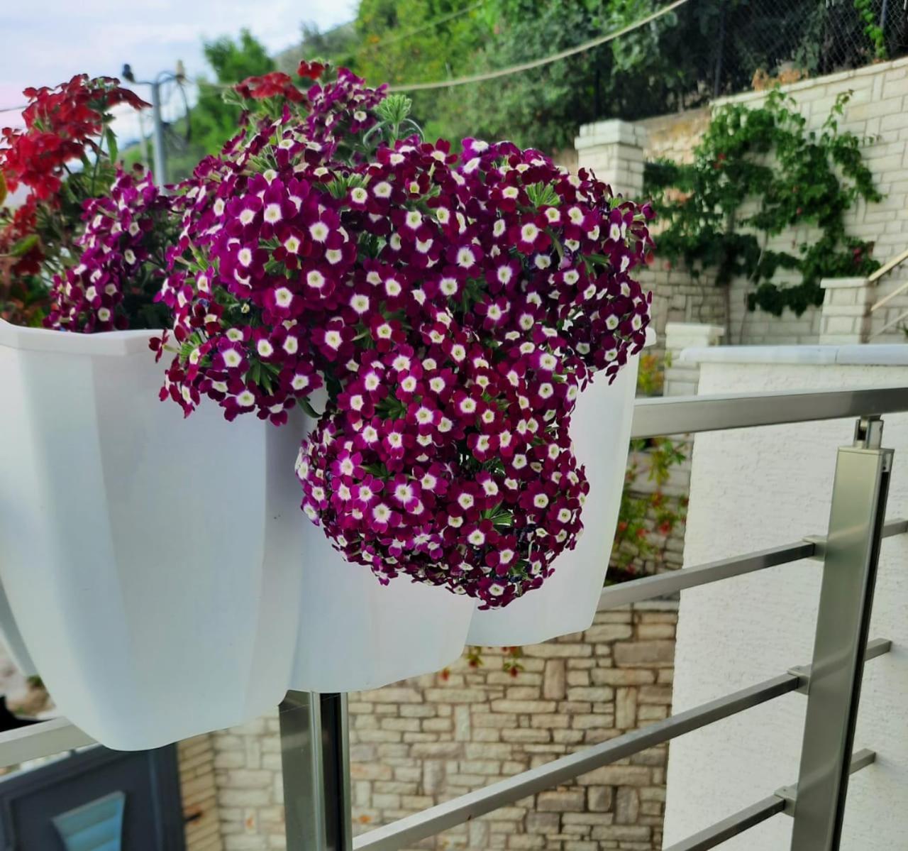 Lukovë Eduard Lagji Apartament חדר תמונה